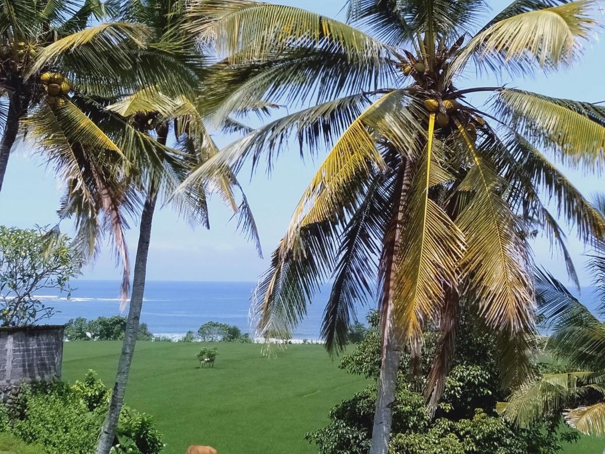 Medewi Beach View Villa Jembrana  Ngoại thất bức ảnh